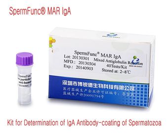 ชุดตรวจวินิจฉัยชาย 40T/Kit สำหรับการตรวจหา IgA Antibody ที่เคลือบตัวอสุจิ