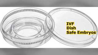 IVF Dish สำหรับการเพาะเลี้ยงตัวอ่อน
