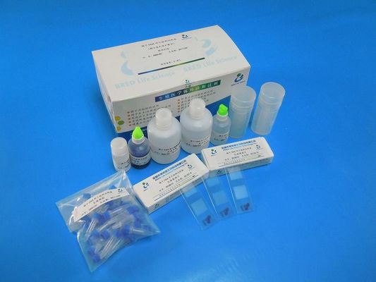 Wright Stain Sperm DNA Fragmentation Test Kit กับวิธีการ SCD สําหรับ 40 การทดสอบ/Kit ในห้องปฏิบัติการ Andrology