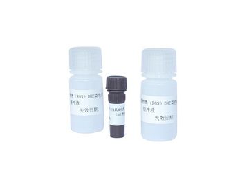 Sperm Reactive Oxygen Species DHE Staining Kit สำหรับ ROS Flow Cytometry